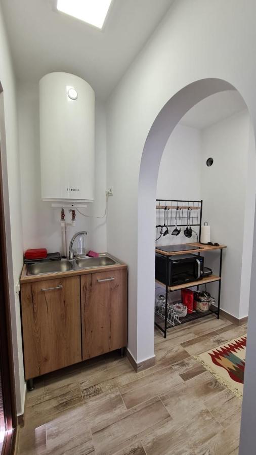 Iulia Sulina Deluxe Apartment Ngoại thất bức ảnh
