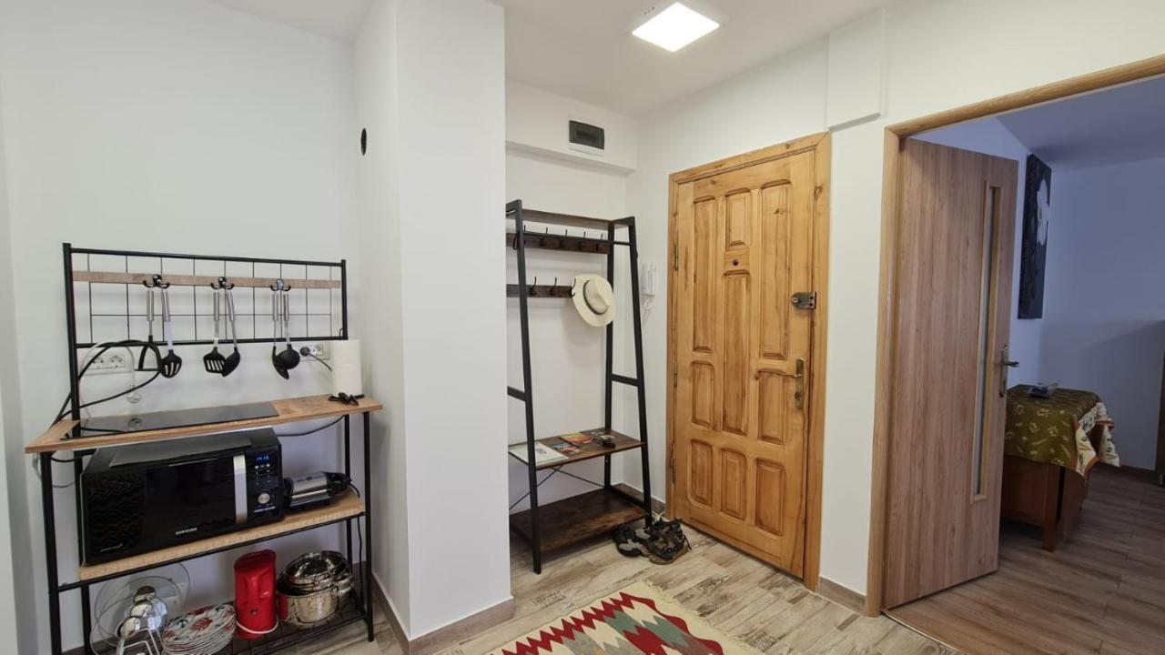 Iulia Sulina Deluxe Apartment Ngoại thất bức ảnh